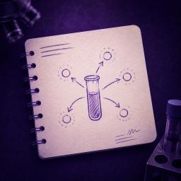 Field Notes